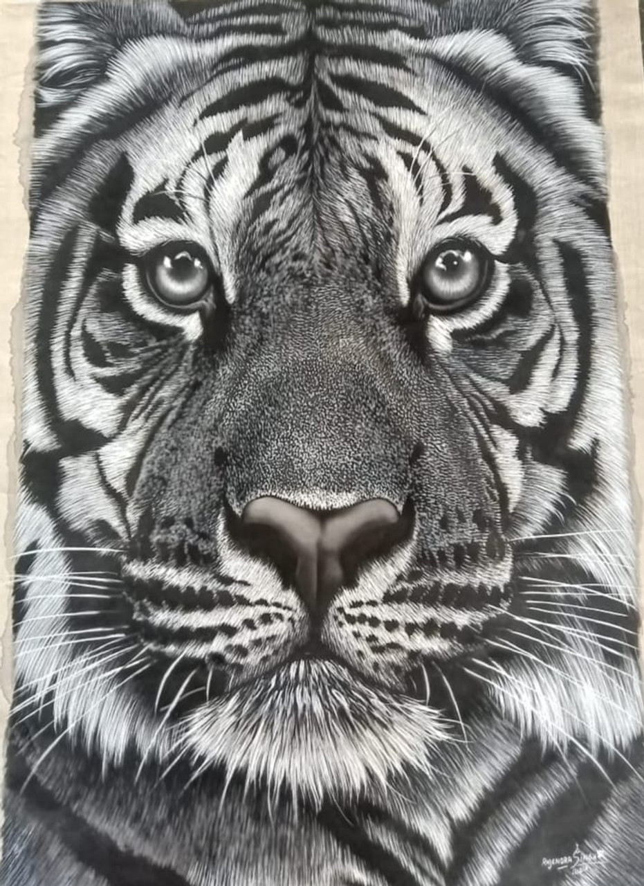 Buy Black and White tiger's face Handmade Painting by RAJENDRA SINGH