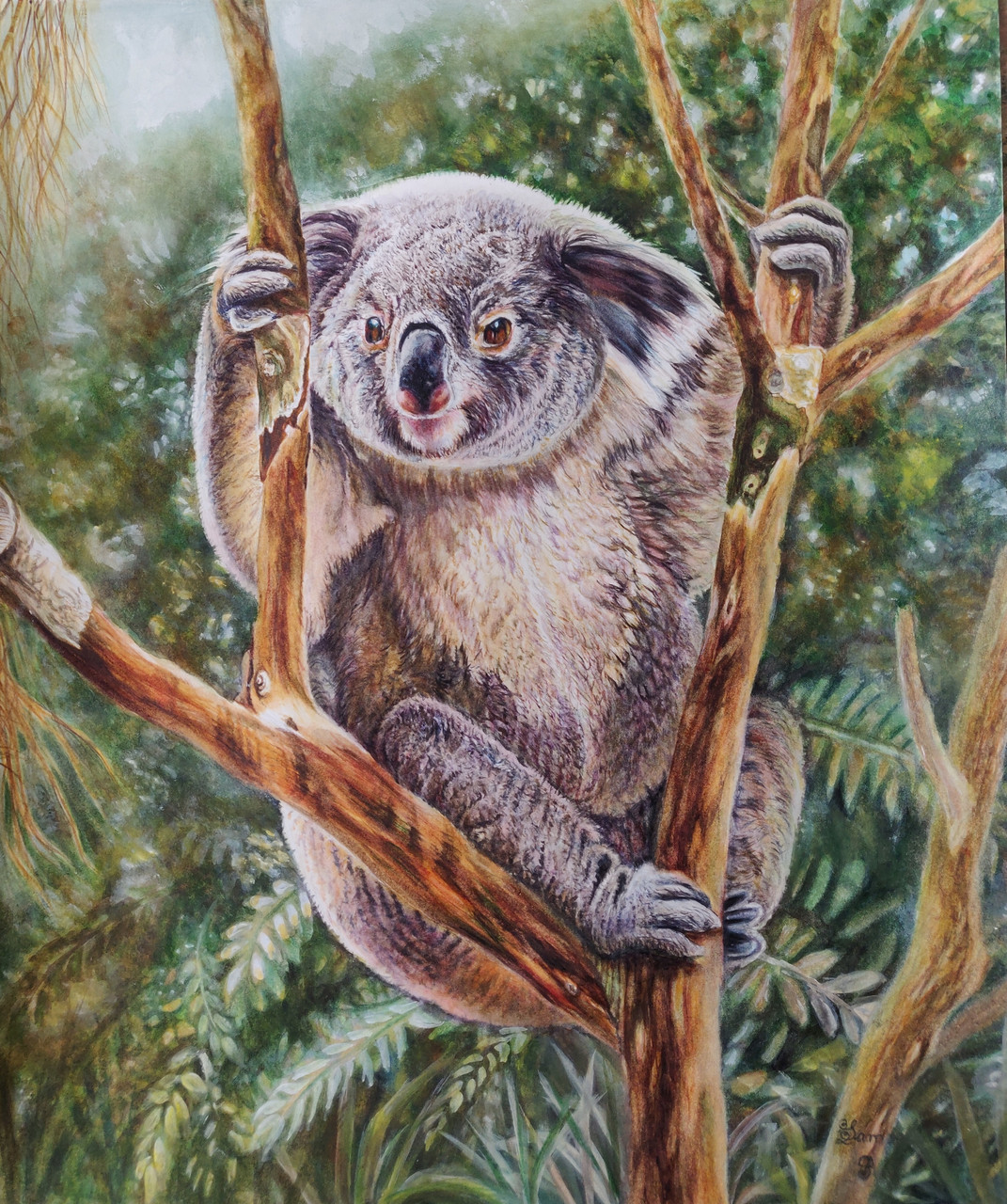 Buy Koala on Tree Handmade Painting by SAMPEETA BANERJEE. CodeART_2393