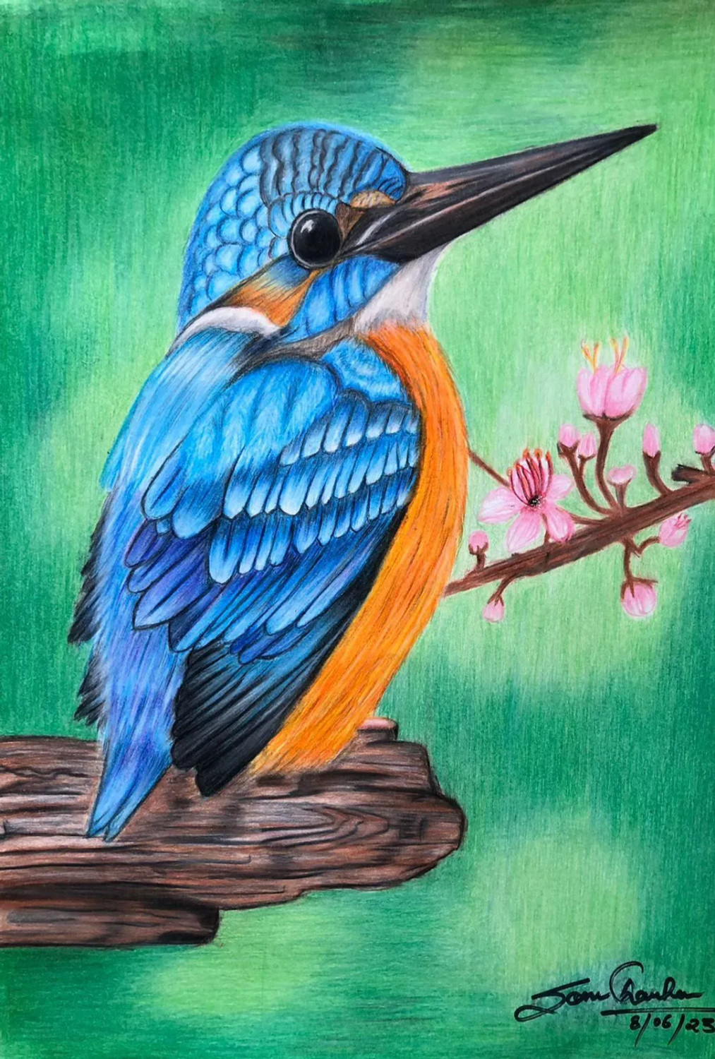 HUMMING BIRD, art, spring, paintings, pencil, drawing, flowers, nature,  lovely flower, HD wallpaper | Peakpx