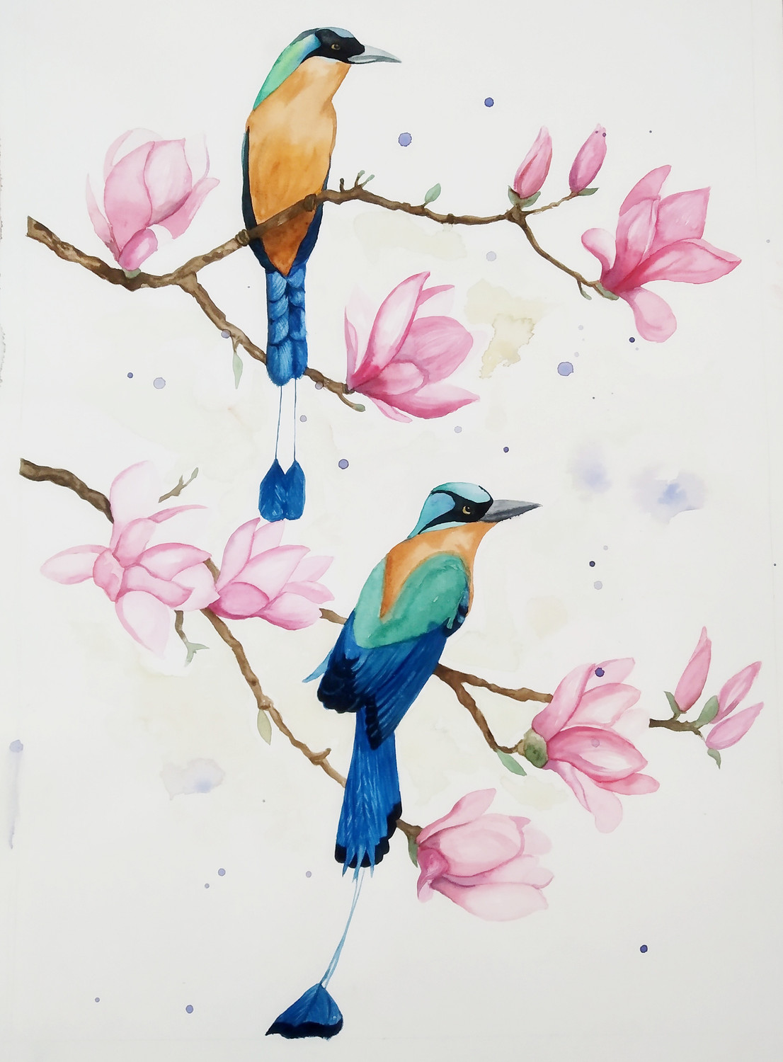 Beautiful Birds Clipart PNG Images, Beautiful Watercolor Bird, Watercolor,  Color, Vintage PNG Image For Free Download