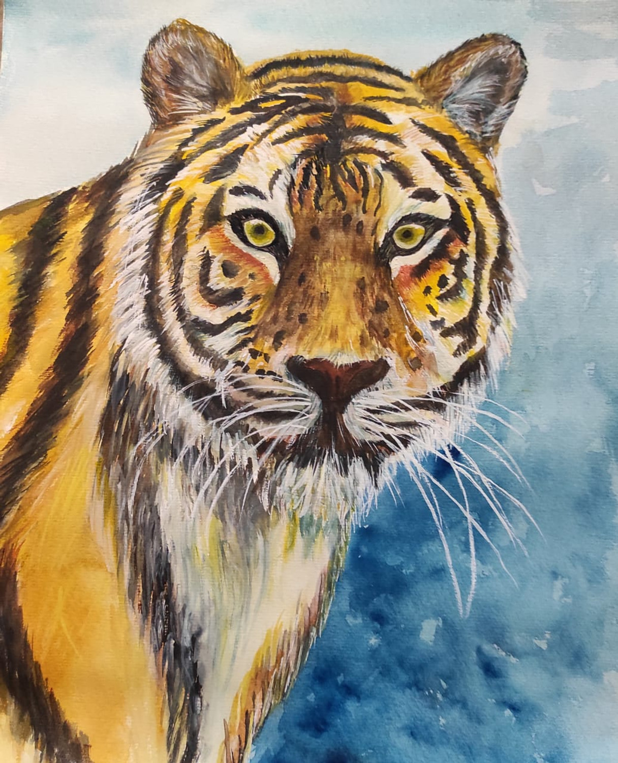 Stare of the royal bengal tiger - Constance artwork - Paintings & Prints,  Animals, Birds, & Fish, Wild Cats, Tigers - ArtPal