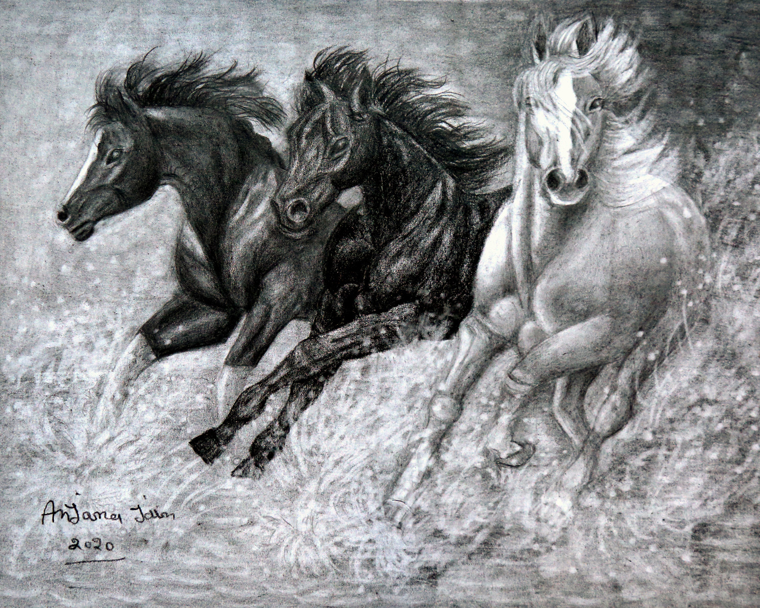 Running Horse Drawings for Sale - Pixels