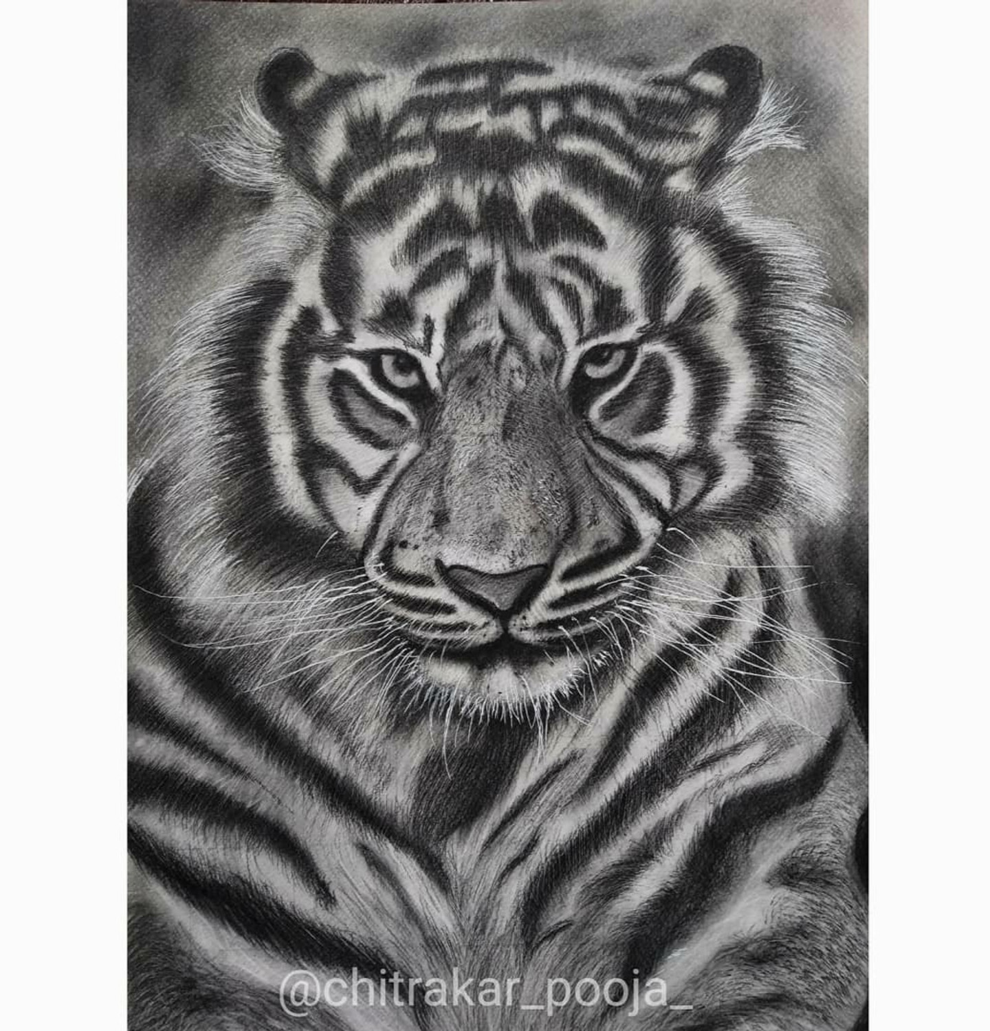 Tiger - The Roar Drawing by Naveen Prakash Veeramuthu | Saatchi Art