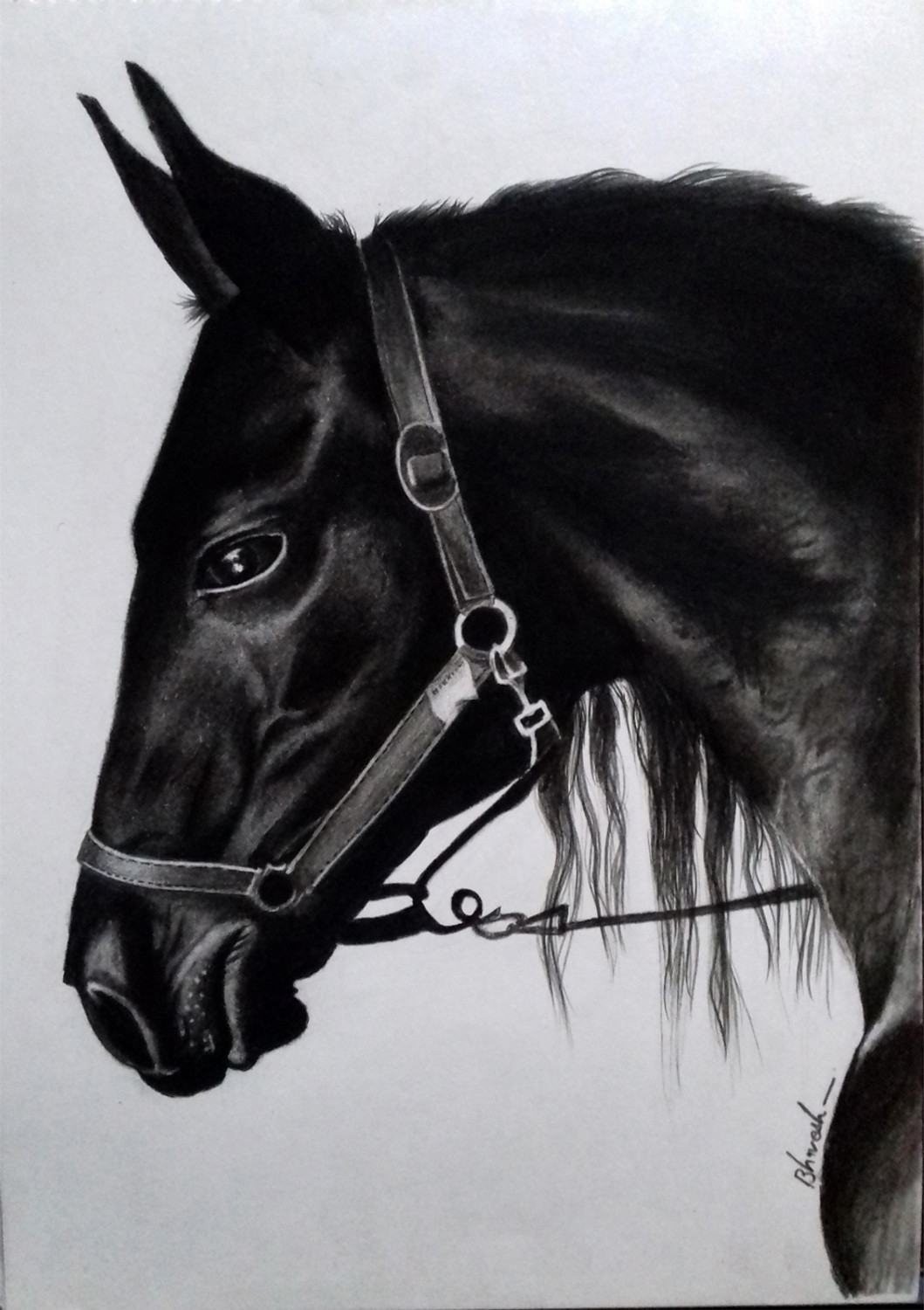 Black Horse (ART_8790_69975) - Handpainted Art Painting - 16in X 12in
