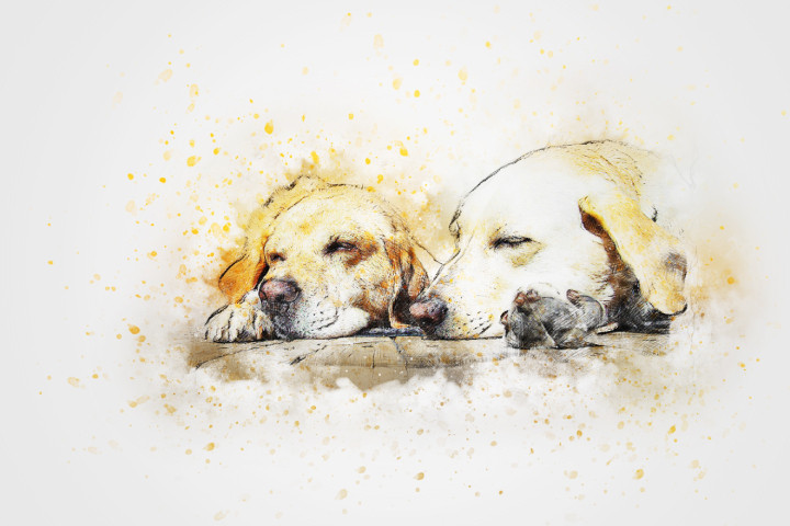Dog Portrait Pet Sleeping Dogs Watercolor Portrait Watercolor Pet Portrait Canvas Art Print