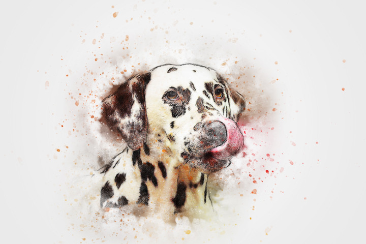 Dog Portrait Pet Charming Dalmatian Dog Portrait Watercolor, Realistic, Modern Canvas Art Print