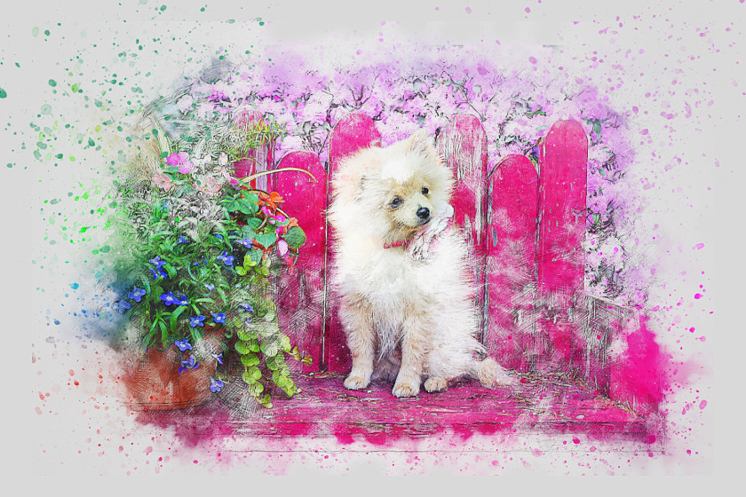 Dog Pet Whimsical Puppy On Pink Bench Watercolor, Playful Canvas Art  Print - Main Image