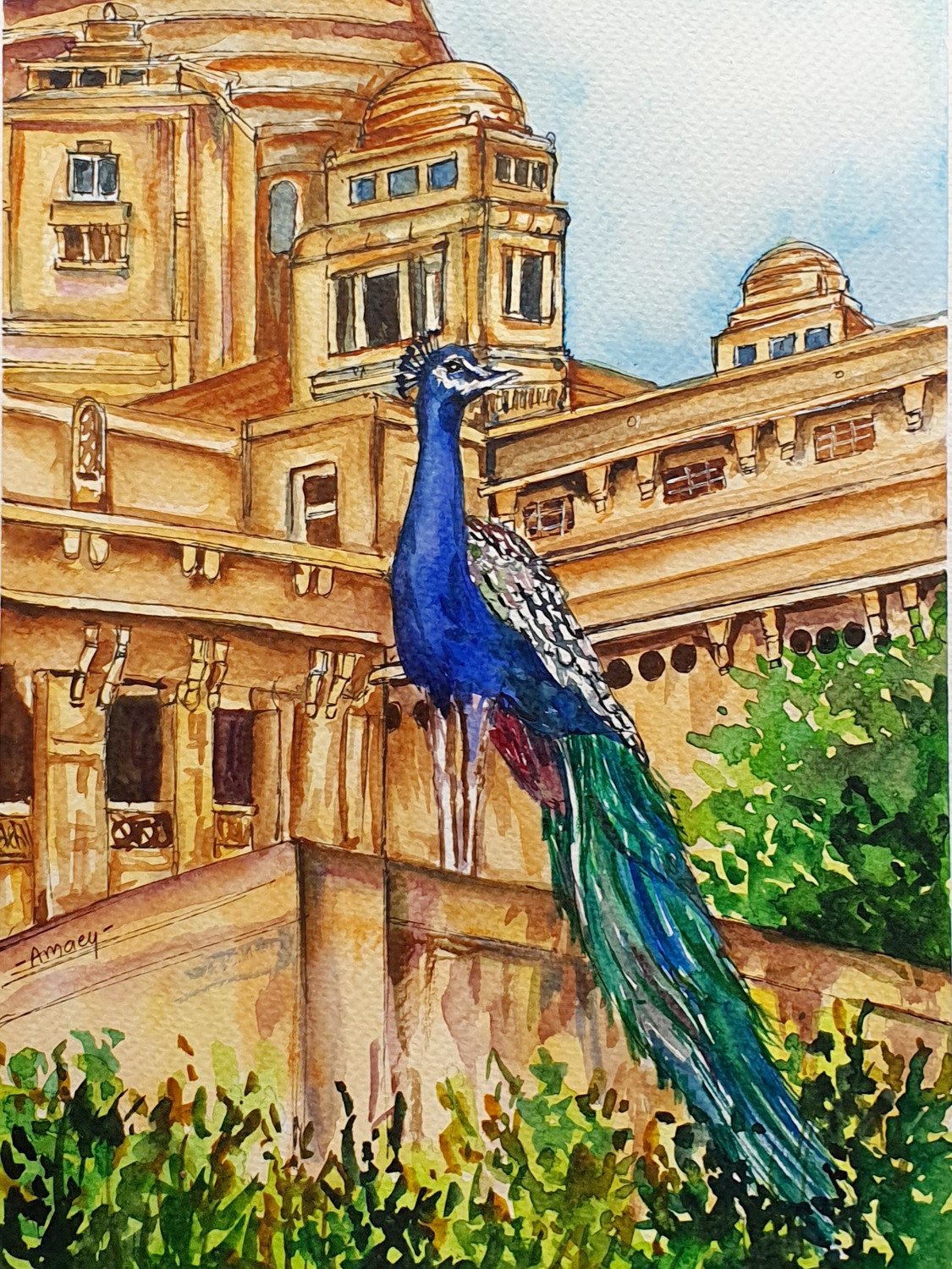 Buy Peacock-along with the architecture Canvas Art Print by AMAEY A PAREKH.  Code:PRT_7989_66544 - Prints for Sale online in India.