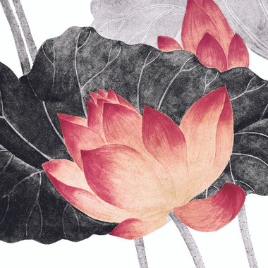 Feel Of Lotus 01 (PRT_1213) - Canvas Art Print - 24in X 24in