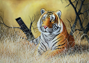 Wild Animal,Tiger,National Animal,The First Look,Yellow Brown Shades