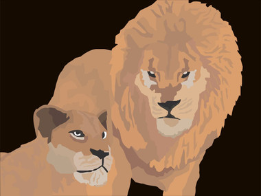 Lion Couple . (PRT_8044_60559) - Canvas Art Print - 17in X 13in