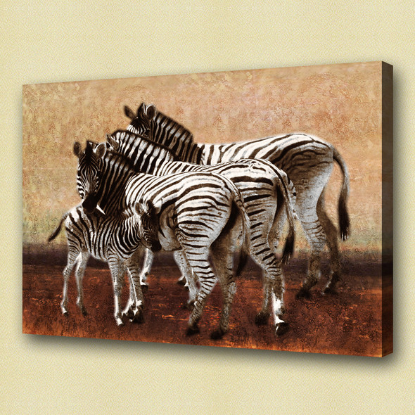 zebra, jungle, two zebra, forest, zebra in forest, standing zebra, wild animal, wild life, mother and child