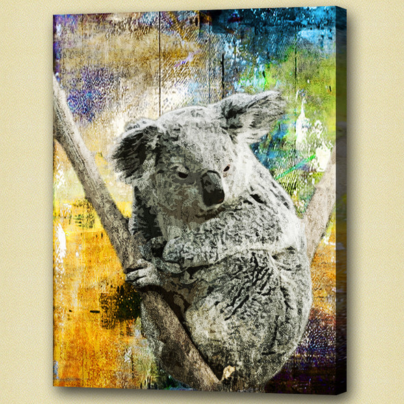 koala,stocky animal,wild life,wild animal,zoo  animal