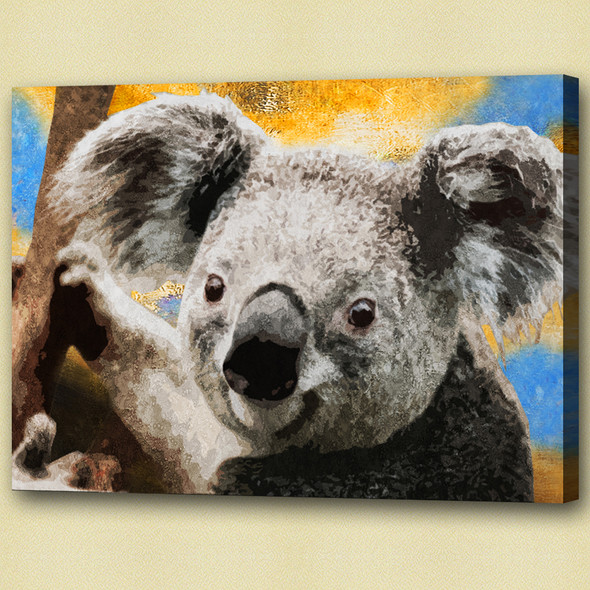 koala,stocky animal,wild life,wild animal,zoo  animal