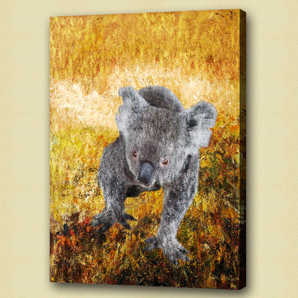 koala,stocky animal,wild life,wild animal,zoo  animal baby koala