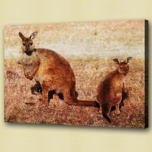 Kangaroo , polyphyletic grouping of species,Jumping animal,Wild Animal,Zoo animal