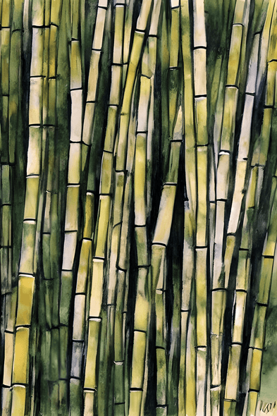 Bamboo forest (PRT_8991_74970) - Canvas Art Print - 11in X 16in