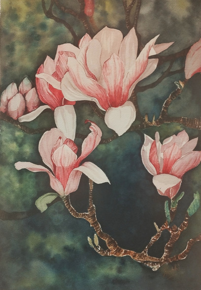 Magnolia bloom (ART_9040_75156) - Handpainted Art Painting - 12in X 17in