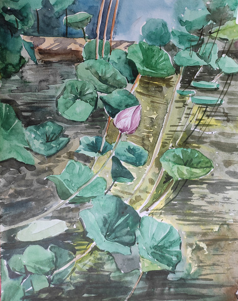 Lotus pond (ART_7901_75412) - Handpainted Art Painting - 11in X 13in