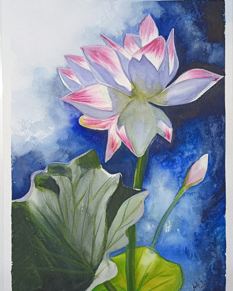 Lotus  (ART_8406_69684) - Handpainted Art Painting - 10in X 14in