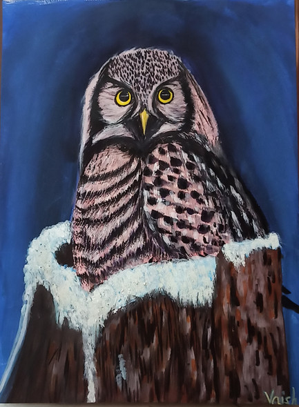 Owl painting (PRT_7602_60025) - Canvas Art Print - 11in X 8in