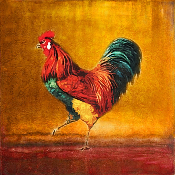 Bird,Cock,Rooster,cockerel