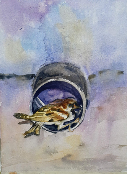 Sparrow  (ART_9108_76602) - Handpainted Art Painting - 8in X 12in
