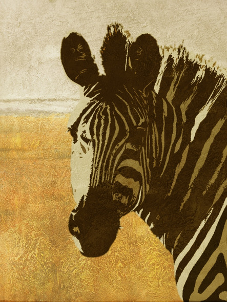 Zebra Dreams,Zebra,Wild life, African equids,stripes of zebras