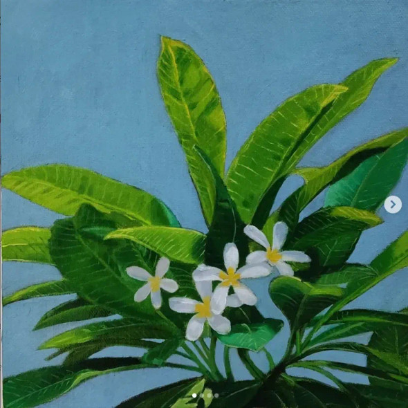 Frangipani Blooms (ART-15151-100640) - Handpainted Art Painting - 8 in X 8in