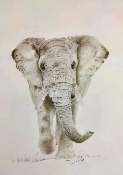 Elephant (ART-15215-100953) - Handpainted Art Painting - 11 in X 16in