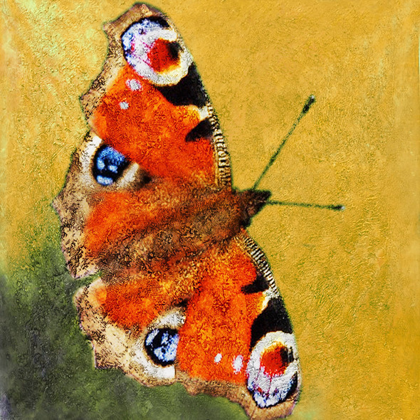 The Butterfly 8 - Handpainted Art Painting - 30in X 30in