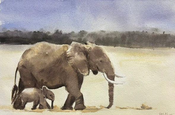 Watercolour On Paper (ART-15822-103456) - Handpainted Art Painting - 12in X 8in
