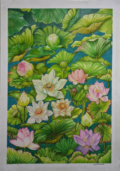 Seven Lotus (PRT-15803-103736) - Canvas Art Print - 17in X 24in