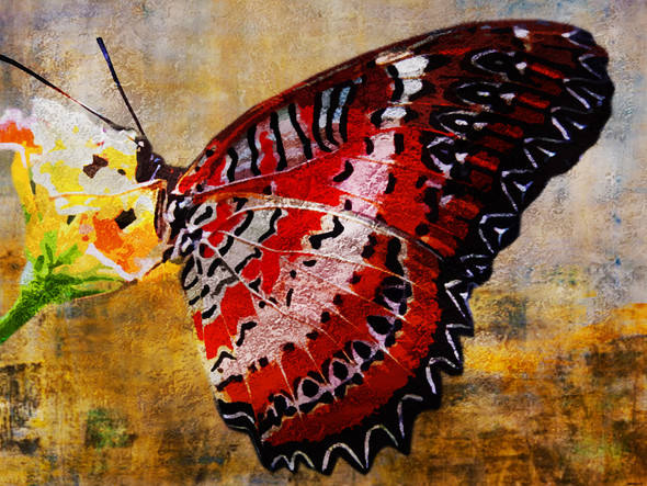 Beautiful Butterfly 4 - Handpainted Art Painting - 40in X 30in