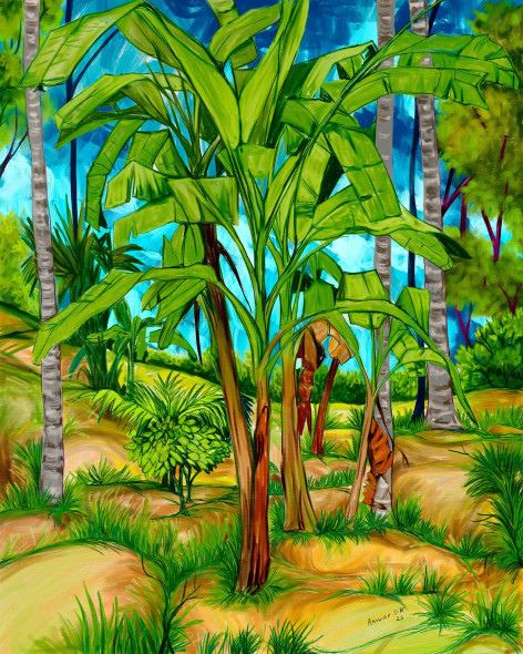 Bananas Trees (PRT-15898-103985) - Canvas Art Print - 28in X 36in