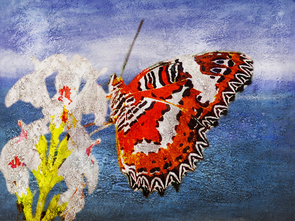 Beautiful Butterfly  8 - Handpainted Art Painting - 40in X 30in