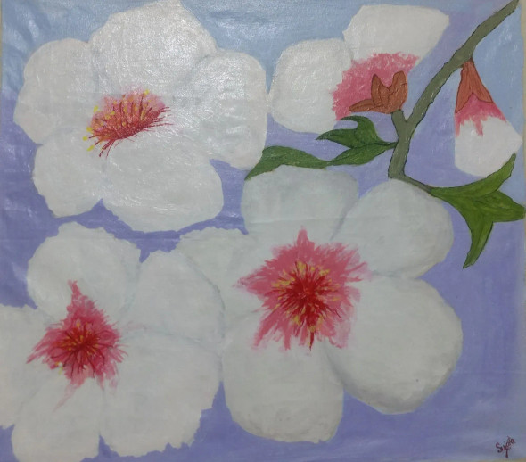 Almond Flowers Blooming Bright In Bright Daylight (ART-8632-104050) - Handpainted Art Painting - 14in X 13in