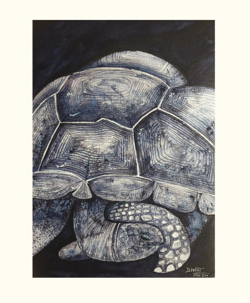 Tortoise (ART-8183-104226) - Handpainted Art Painting - 10in X 14in