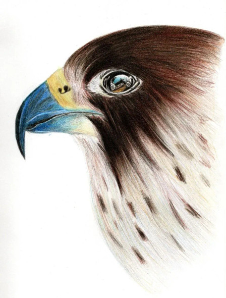 Bird (ART-15368-105753) - Handpainted Art Painting - 8in X 11in