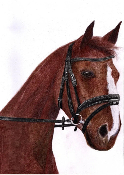 Horse (ART-15368-105751) - Handpainted Art Painting - 8in X 11in