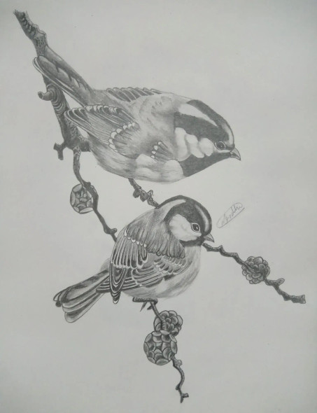 Sparrow Graphite Sketch (ART-16171-105832) - Handpainted Art Painting - 8in X 12in