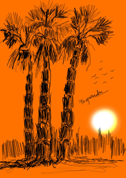 Sunset And Palm Trees (PRT-776-105923) - Canvas Art Print - 8in X 12in