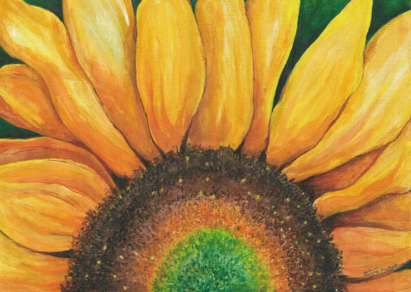 Sunflower - The Golden Bloom (PRT-1292-105949) - Canvas Art Print - 12in X 9in