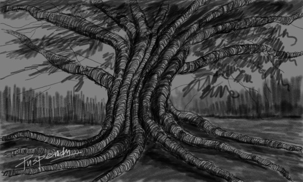 Dark Tree (PRT-776-105927) - Canvas Art Print - 12in X 7in