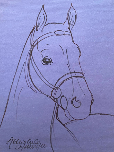 Horse Drawing (ART-3512-105943) - Handpainted Art Painting - 8in X 12in
