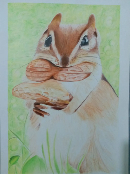 Squirrel (ART-15368-106137) - Handpainted Art Painting - 11in X 16in