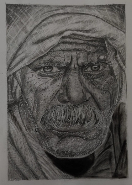 Wisdom In Wrinkles (ART-16216-106087) - Handpainted Art Painting - 8in X 12in