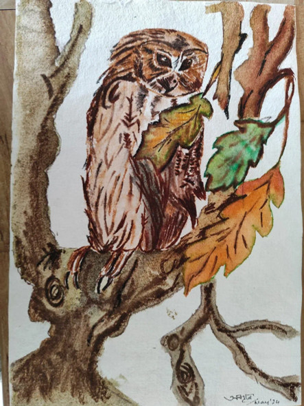 Owl On A Tree (ART-16205-106082) - Handpainted Art Painting - 9in X 12in