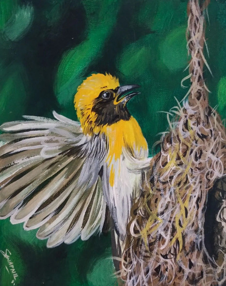 Weaver Bird (ART-16241-106274) - Handpainted Art Painting - 8in X 11in