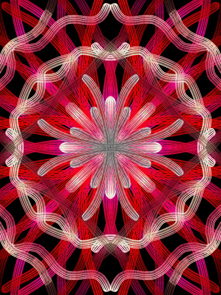 Scarlet Bloom (PRT-16330-106779) - Canvas Art Print - 36in X 48in